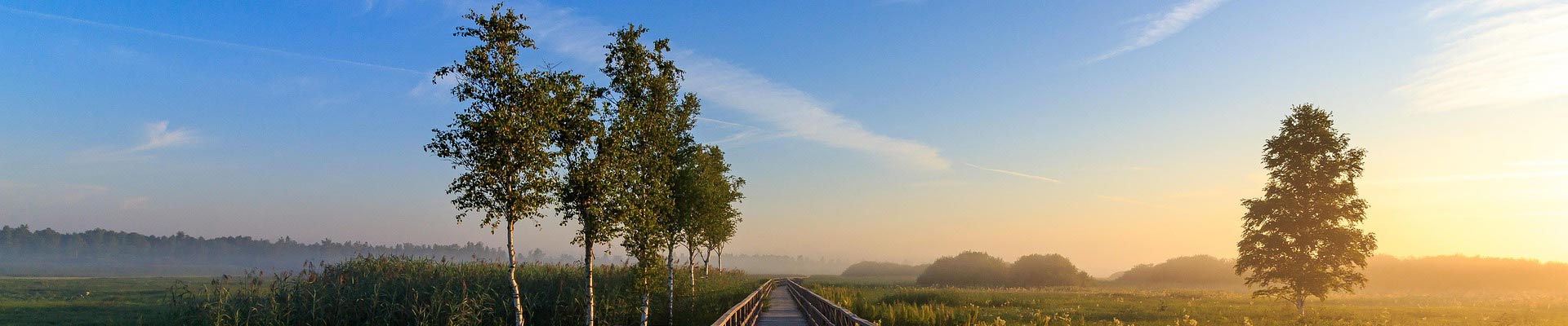 产品中心